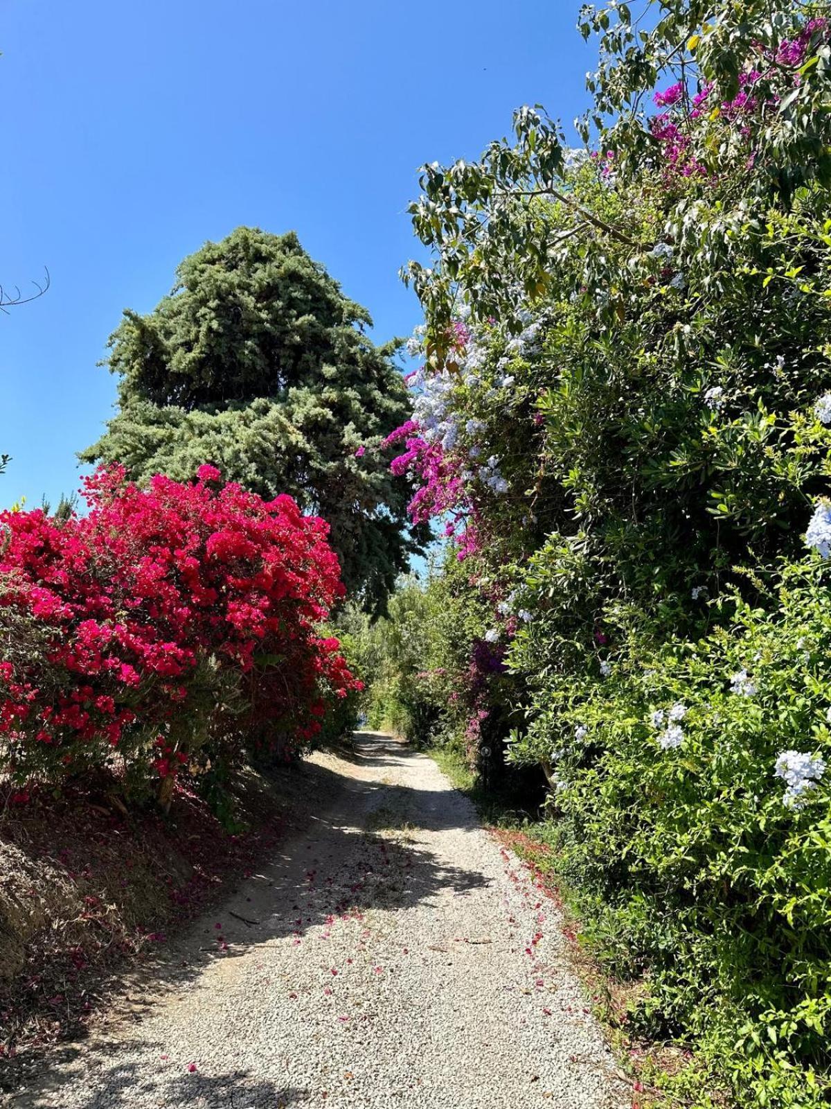 Villa Tiche تْشيفالو المظهر الخارجي الصورة