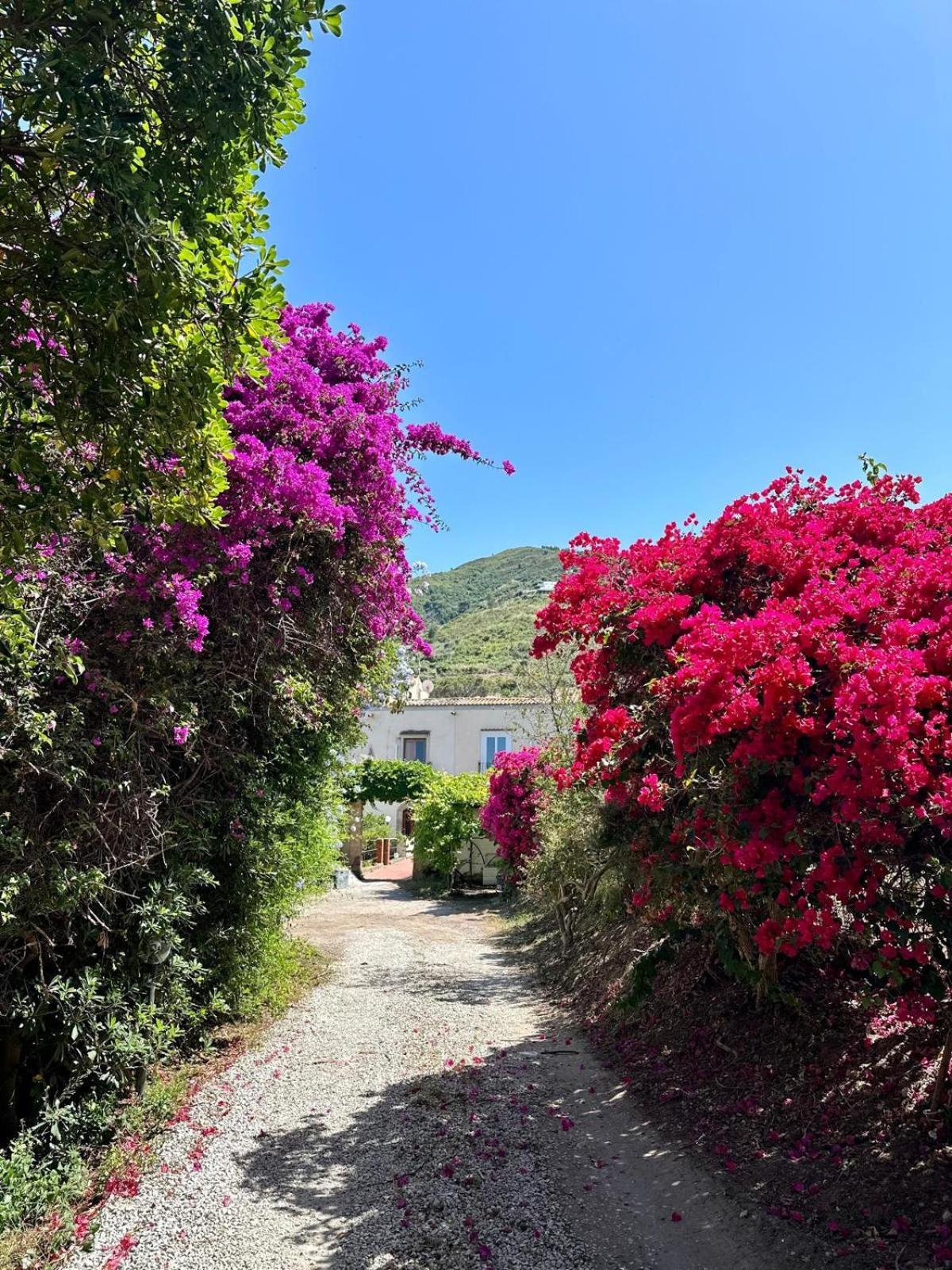 Villa Tiche تْشيفالو المظهر الخارجي الصورة
